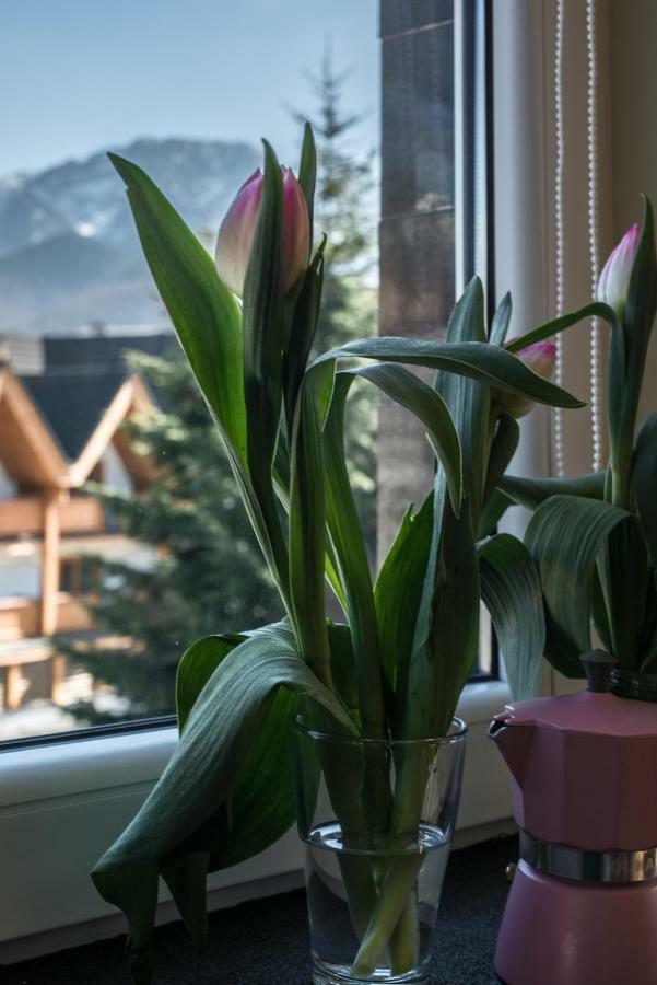 5 Kroków * Zakopane